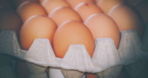 ovos