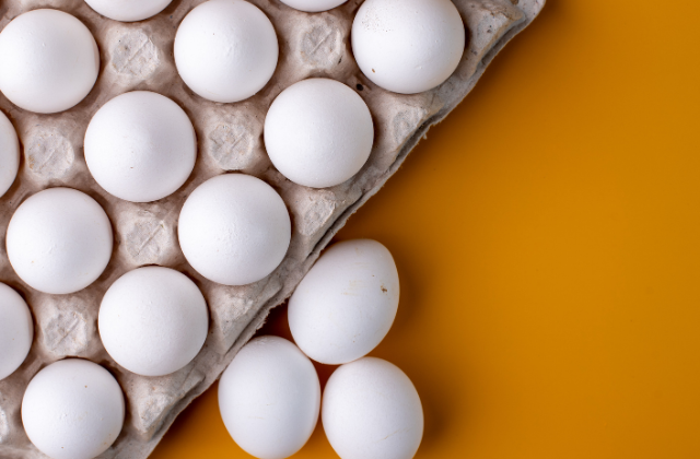 influenza aviária ovos